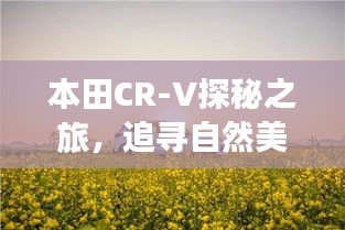 本田CR-V探秘之旅，追寻自然美景，心灵宁静的旅程