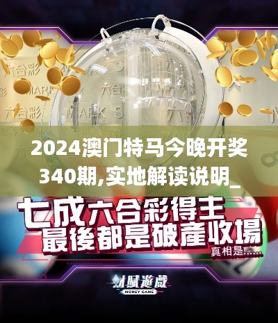 2024澳门特马今晚开奖340期,实地解读说明_优选版64.146-9