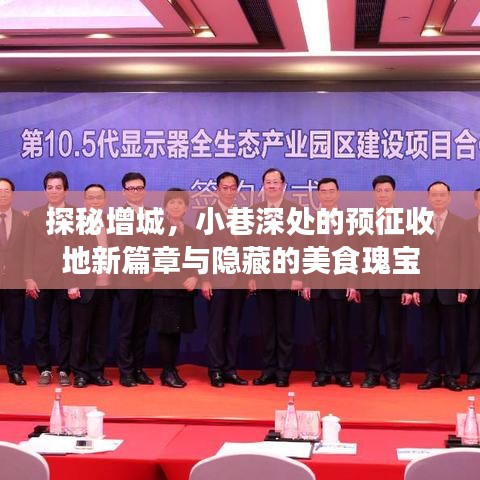增城探秘，预征收地背后的新篇章与美食秘境探索