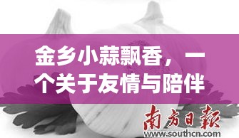 金乡小蒜飘香，友情与陪伴的温馨篇章