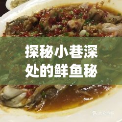 探秘小巷深处鲜鱼秘境，最新捕捞的鱼鲜之旅（12月4日）