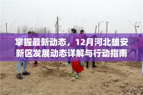 掌握最新动态，河北雄安新区12月发展详解与行动指南