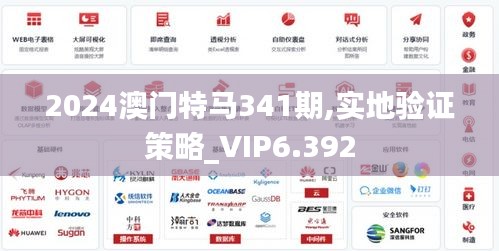 2024澳门特马341期,实地验证策略_VIP6.392