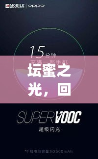 坛蜜之光，回顾与探索——2024年12月4日特殊篇章揭秘