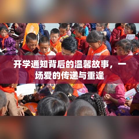 开学通知背后的温馨故事，爱的传递与重逢之夜