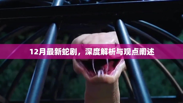 12月最新蛇剧深度解析与观点阐述