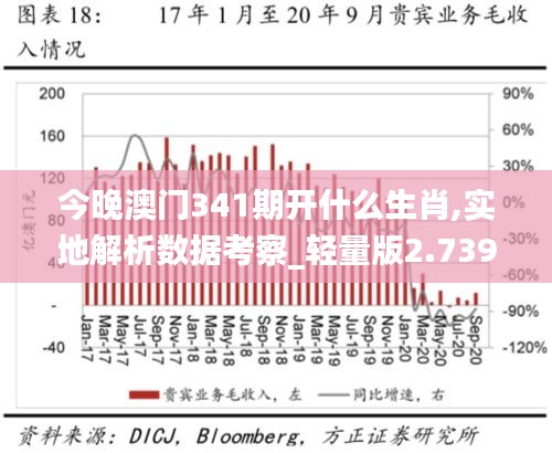 今晚澳门341期开什么生肖,实地解析数据考察_轻量版2.739
