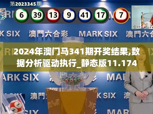 2024年澳门马341期开奖结果,数据分析驱动执行_静态版11.174