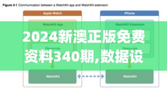 2024新澳正版免费资料340期,数据设计驱动解析_苹果款6.874