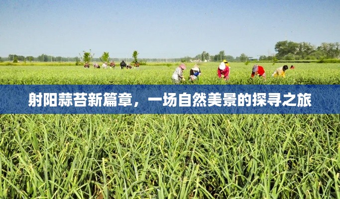 星星打烊 第5页