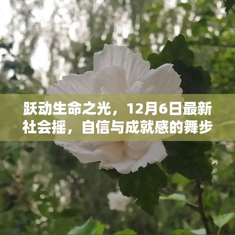 跃动生命之光，最新社会摇舞步旋律，自信与成就感的交织（12月6日）
