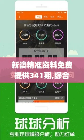新澳精准资料免费提供341期,综合性计划评估_eShop13.848