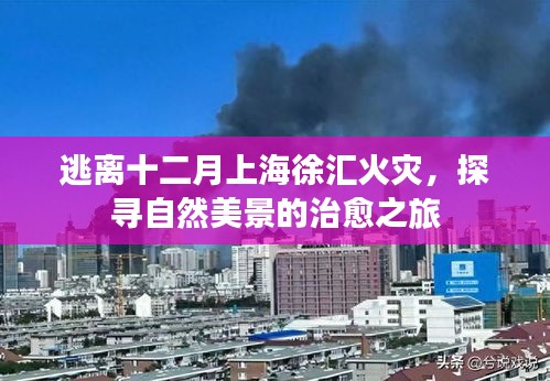 橘虞初梦 第6页