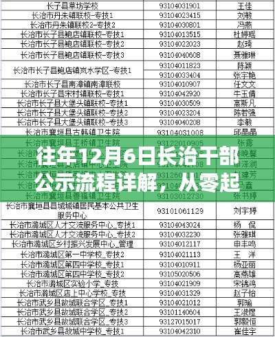 往年长治干部公示流程详解，公示操作全攻略，轻松掌握从零起步资讯