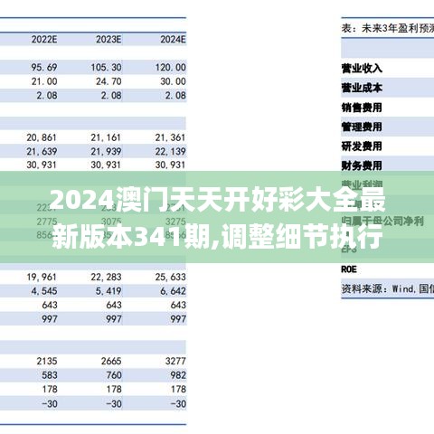 2024澳门天天开好彩大全最新版本341期,调整细节执行方案_6DM3.102