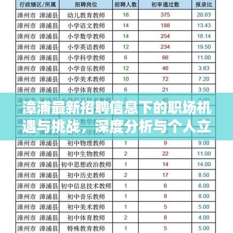 漳浦最新招聘信息下的职场机遇与挑战深度解析与个人视角探讨