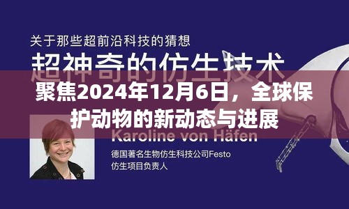 全球保护动物新动态与进展，聚焦2024年12月6日展望