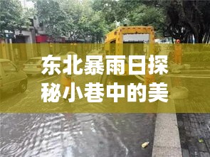 东北暴雨日探秘小巷中的美味秘境——热门预报背后的故事