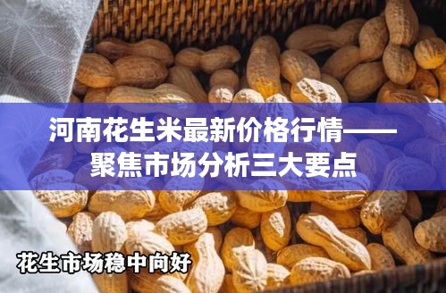 河南花生米最新价格行情揭秘，三大市场分析要点聚焦报告