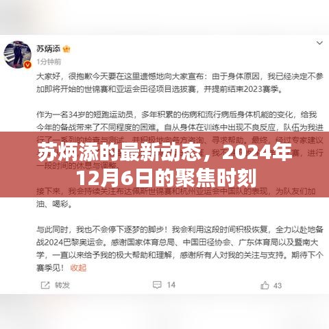 苏炳添2024年12月6日聚焦时刻，最新动态揭秘！