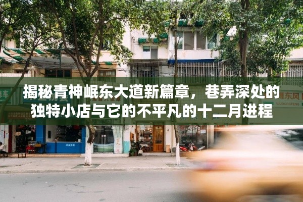 青神岷东大道新篇章揭秘，巷弄小店的独特魅力与十二月非凡历程