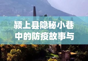 颍上县小巷防疫故事与风味探秘