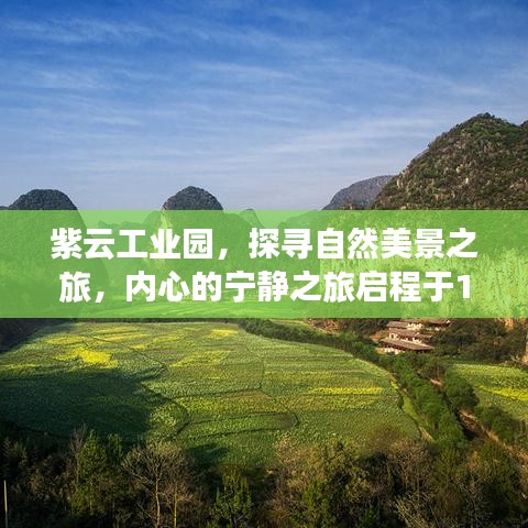 紫云工业园，探寻自然美景之旅，启程于阳光之下的宁静之旅