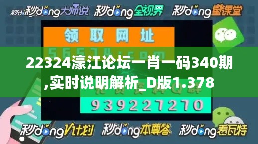 22324濠江论坛一肖一码340期,实时说明解析_D版1.378