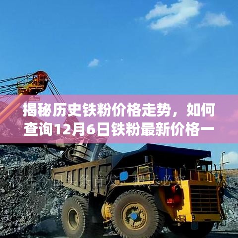 揭秘历史铁粉价格走势与最新铁粉价格查询指南，聚焦12月6日一吨铁粉价格动态