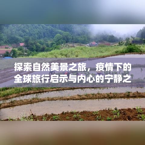 疫情下的全球自然探索之旅，启示与内心宁静之道