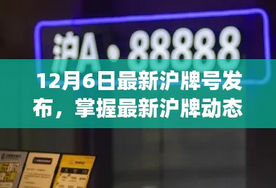 最新沪牌号发布，掌握沪牌动态，洞悉市场趋势