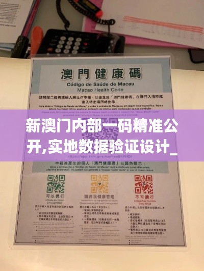 新澳门内部一码精准公开,实地数据验证设计_旗舰版7.456