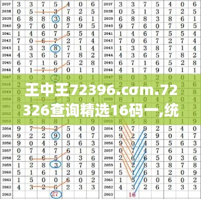 王中王72396.cσm.72326查询精选16码一,统计分析解析说明_模拟版1.441