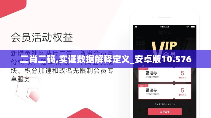 二肖二码,实证数据解释定义_安卓版10.576
