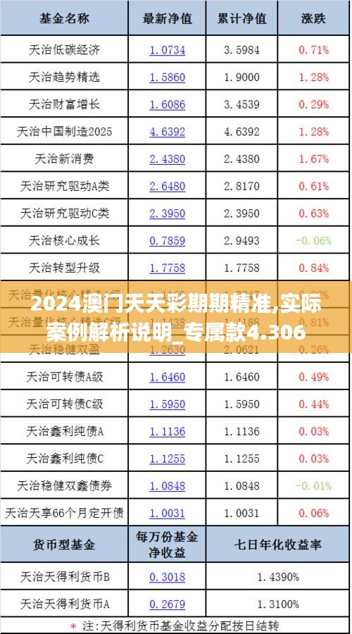 2024澳门天天彩期期精准,实际案例解析说明_专属款4.306