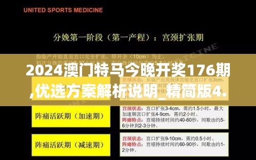 2024澳门特马今晚开奖176期,优选方案解析说明_精简版4.844