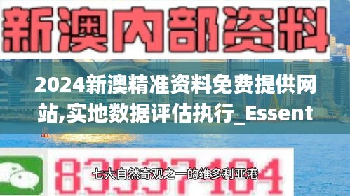 2024新澳精准资料免费提供网站,实地数据评估执行_Essential1.613