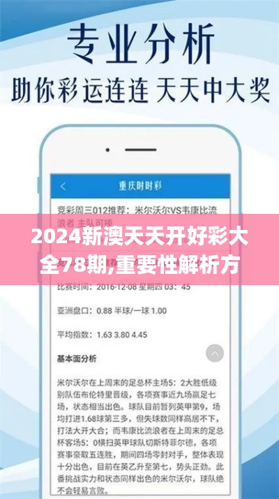 2024新澳天天开好彩大全78期,重要性解析方法_特别版2.976
