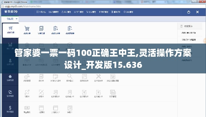 管家婆一票一码100正确王中王,灵活操作方案设计_开发版15.636