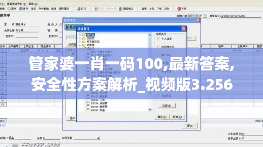 管家婆一肖一码100,最新答案,安全性方案解析_视频版3.256