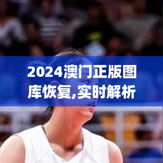2024澳门正版图库恢复,实时解析说明_V1.907