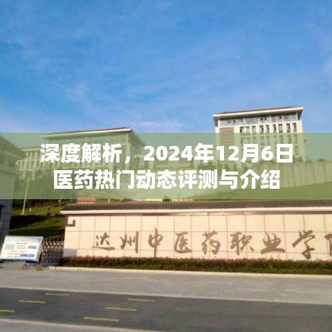 走马观花 第5页
