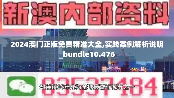 2024澳门正版免费精准大全,实践案例解析说明_bundle10.476