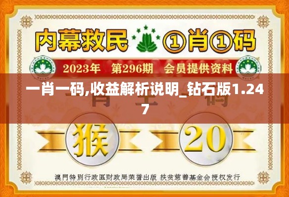 一肖一码,收益解析说明_钻石版1.247