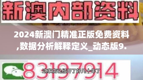 2024新澳门精准正版免费资料,数据分析解释定义_动态版9.791