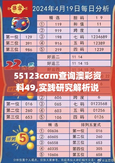 55123cσm查询澳彩资料49,实践研究解析说明_Pixel13.491