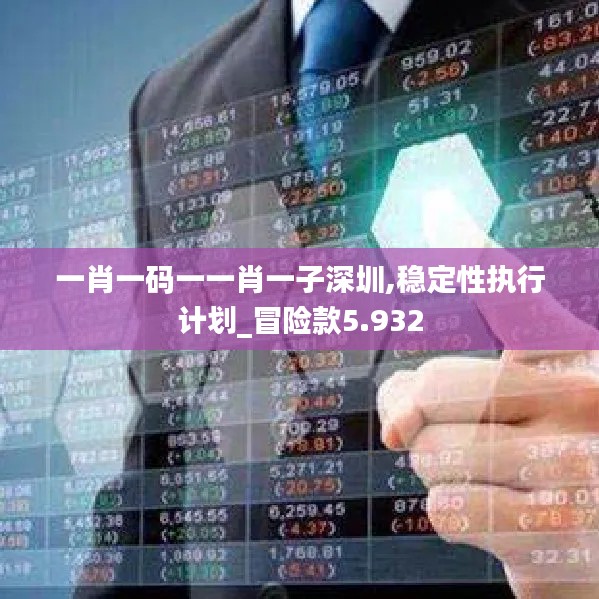 一肖一码一一肖一子深圳,稳定性执行计划_冒险款5.932
