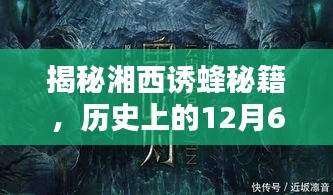 湘西最新诱蜂秘籍揭秘，历史性的诱蜂攻略大公开（独家报道）