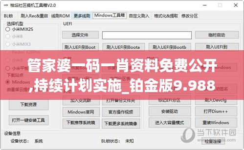 管家婆一码一肖资料免费公开,持续计划实施_铂金版9.988