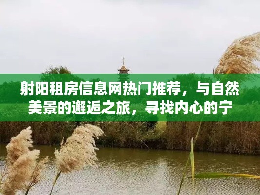 射阳租房信息网，与自然美景的邂逅，寻找宁静港湾的居住之旅